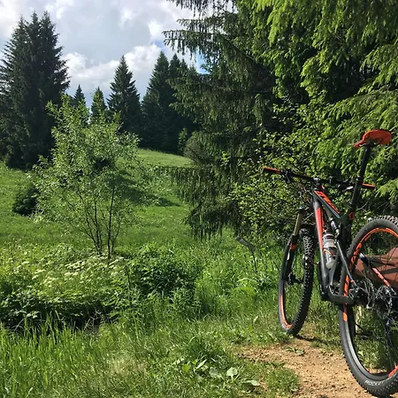 Bikehuette Rehnhaeusl *