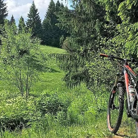 Bikehuette Rehnhaeusl 펜션