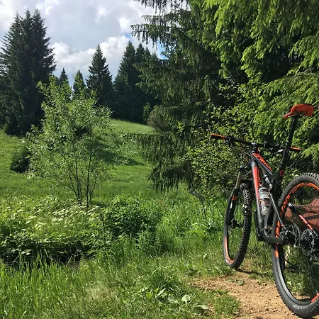 Bikehuette Rehnhaeusl Holiday home Geising