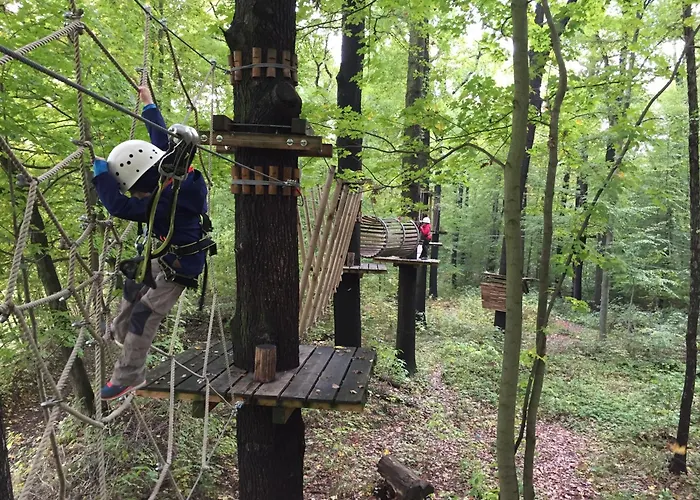 Bikehütte Rehnhäusl Ferienhaus Geising