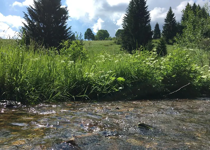 Bikehütte Rehnhäusl Geising