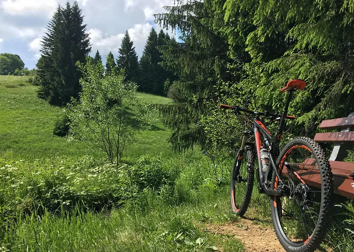Bikehütte Rehnhäusl *